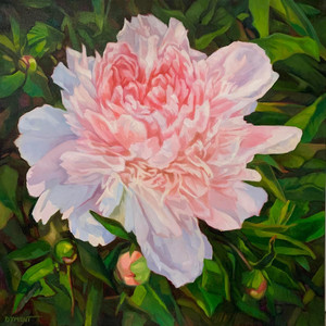 Peony