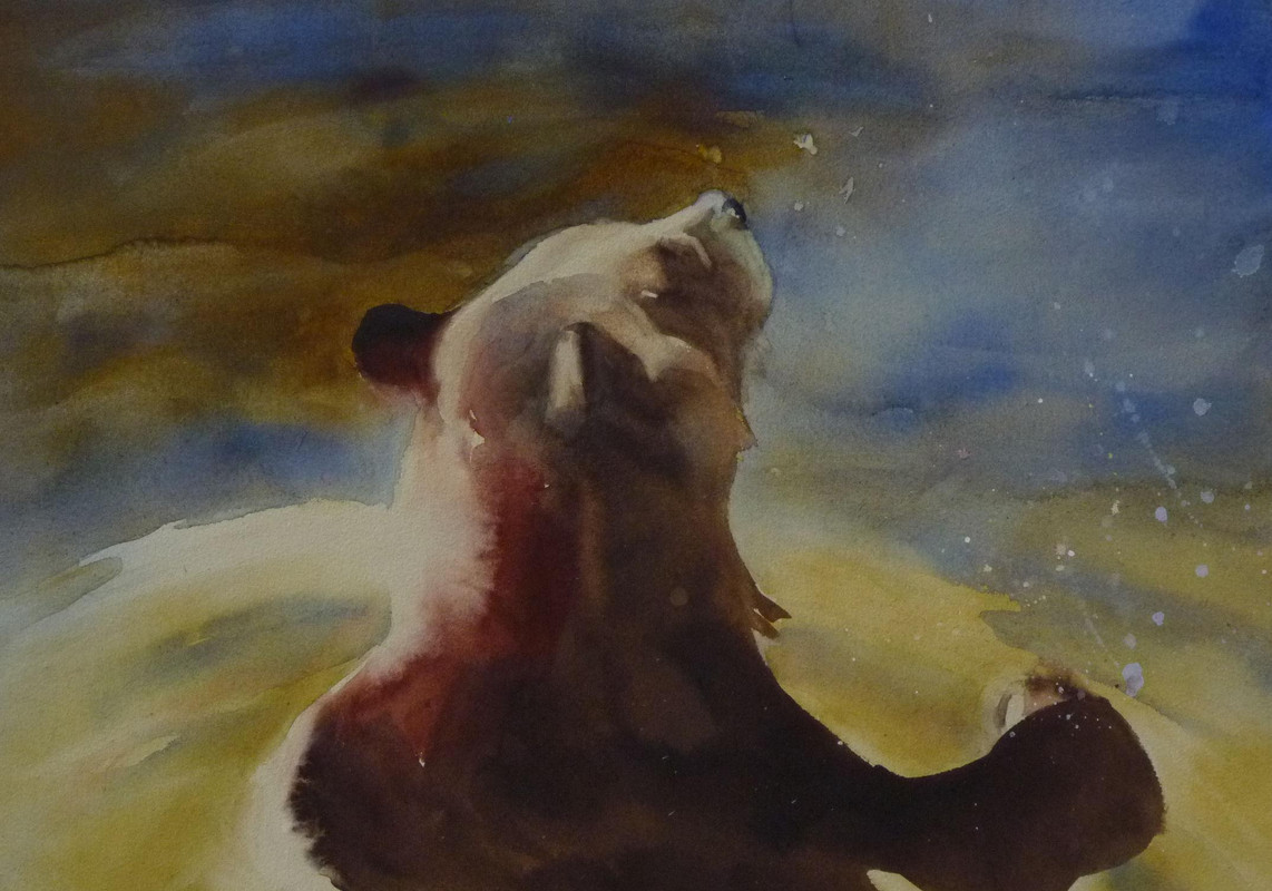 Bear Bath