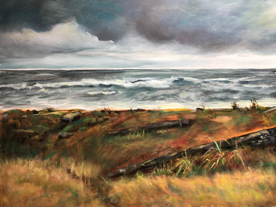 "stormy day ",Campbell river