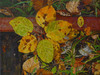 View #1