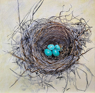 Robin's Nest