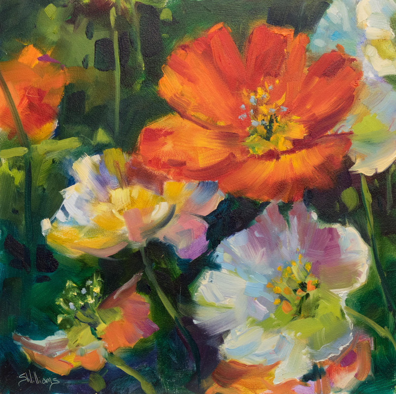 Iceland Poppies