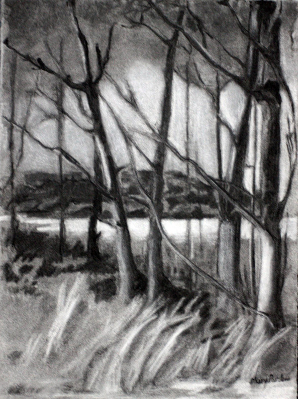 Aspen Sketch
