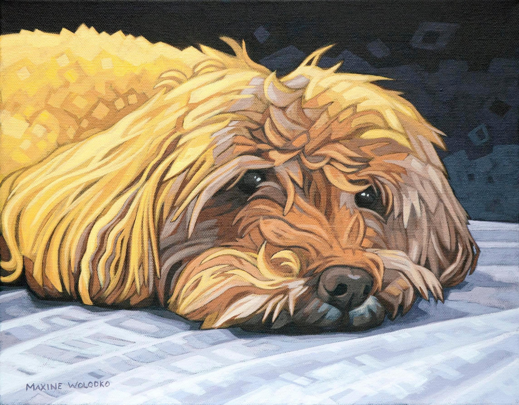 Bella Resting