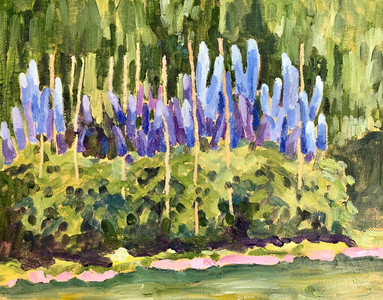 Delphiniums