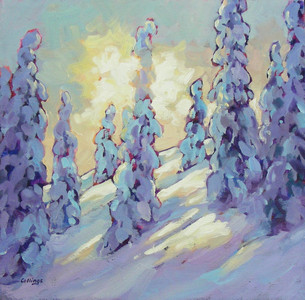 Winter Sun - Cypress SOLD