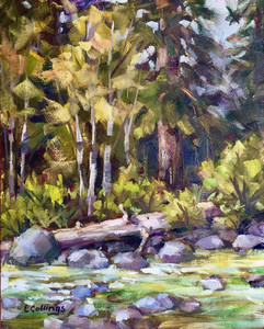 River Bank, Manning Park