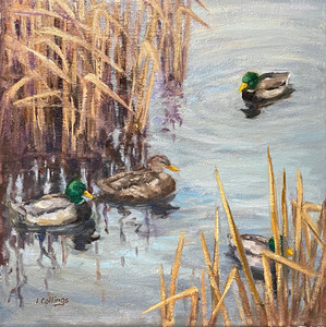Mallards