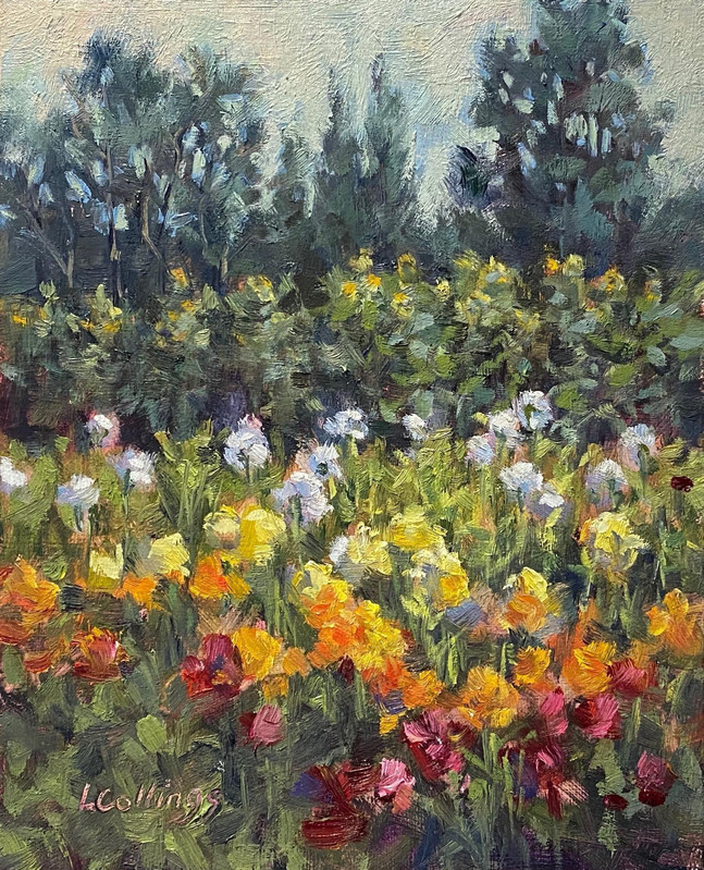 Dahlias