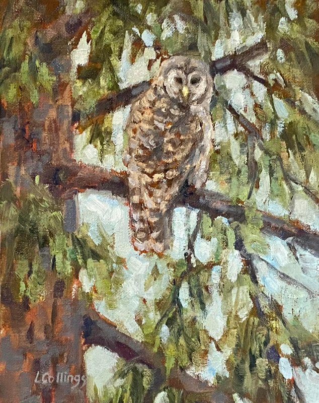 Quiet Watcher