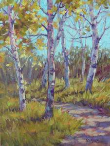 Aspen Shadows - SOLD