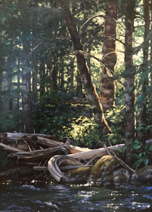 July in the Forest