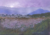 View #1