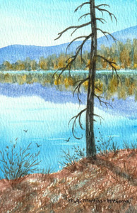 Arlington Lake Reflections
