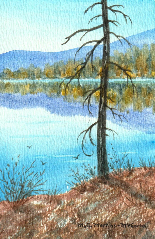 Arlington Lake Reflections