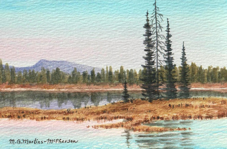 Arlington Lake Gentle Light