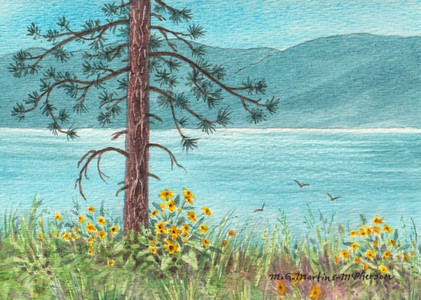 Okanagan Spring Miniature Beauty