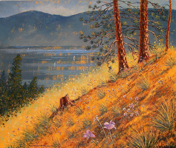 Okanagan Mariposa Lilies