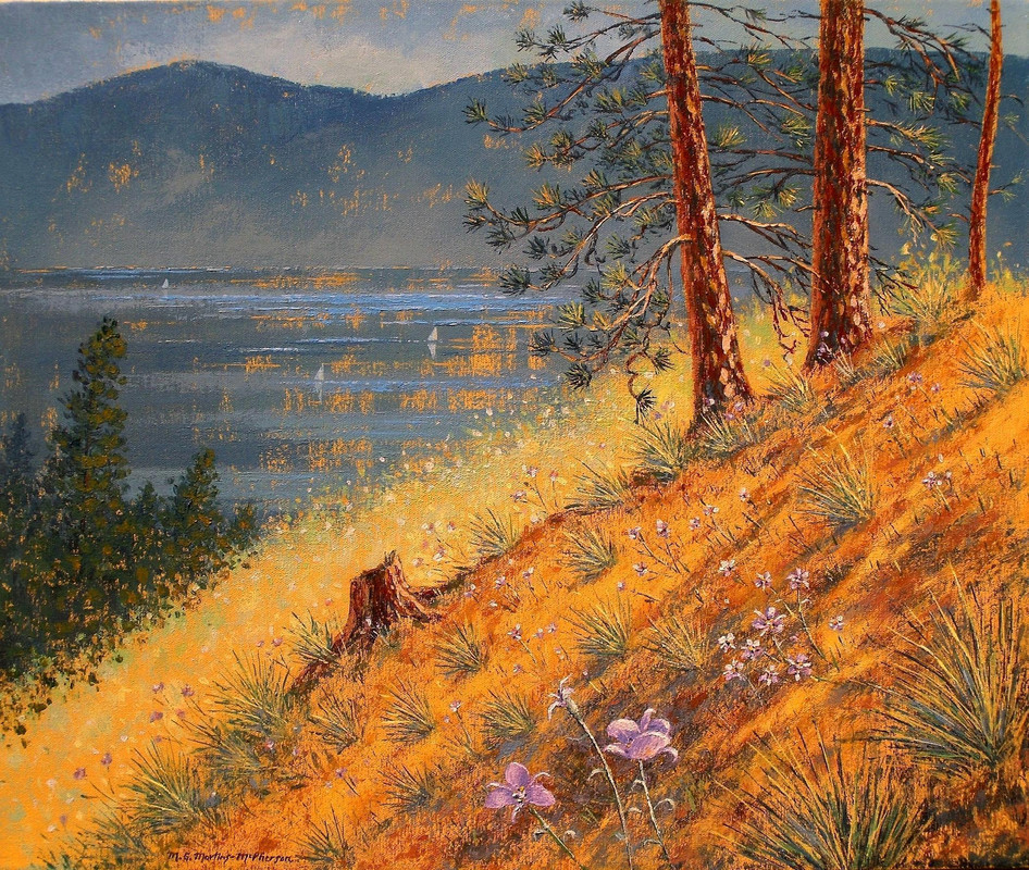 Okanagan Mariposa Lilies