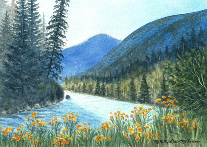 Beauty in the Kootenays