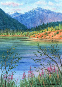 Kinbasket Lake & Fireweed
