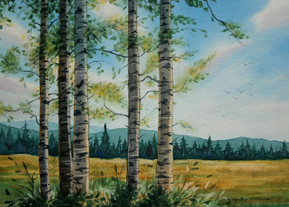 Okanagan Aspens #11