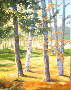 Sunlit Aspens