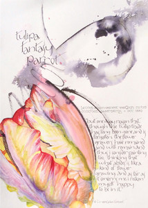 Tulipa Fantasy Parrot