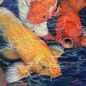 Golden Pond (Koi)