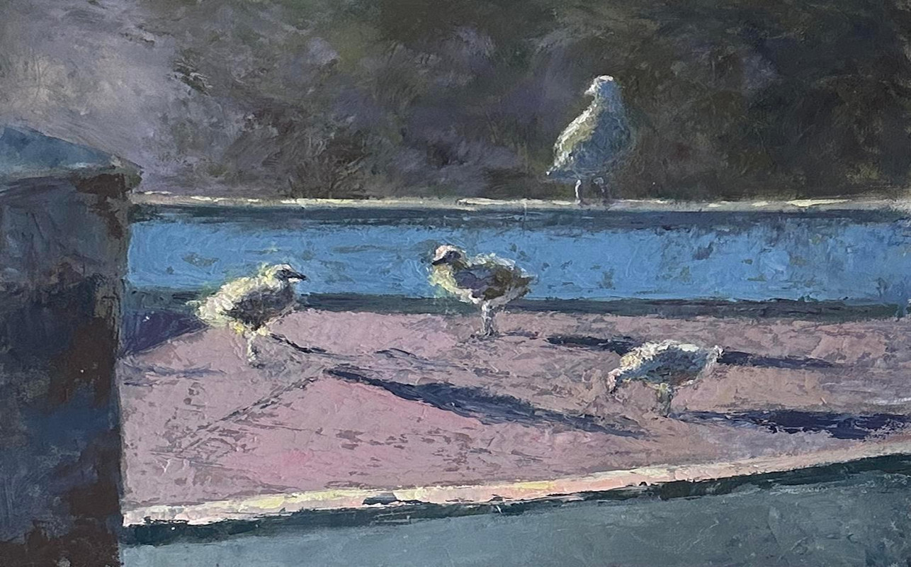 Baby Seagulls on the Roof