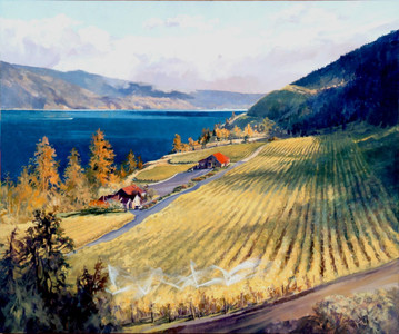 Okanagan Vineyards