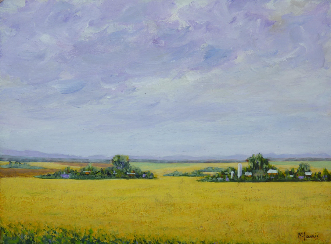 Canola Fields, Alberta