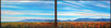 View #1