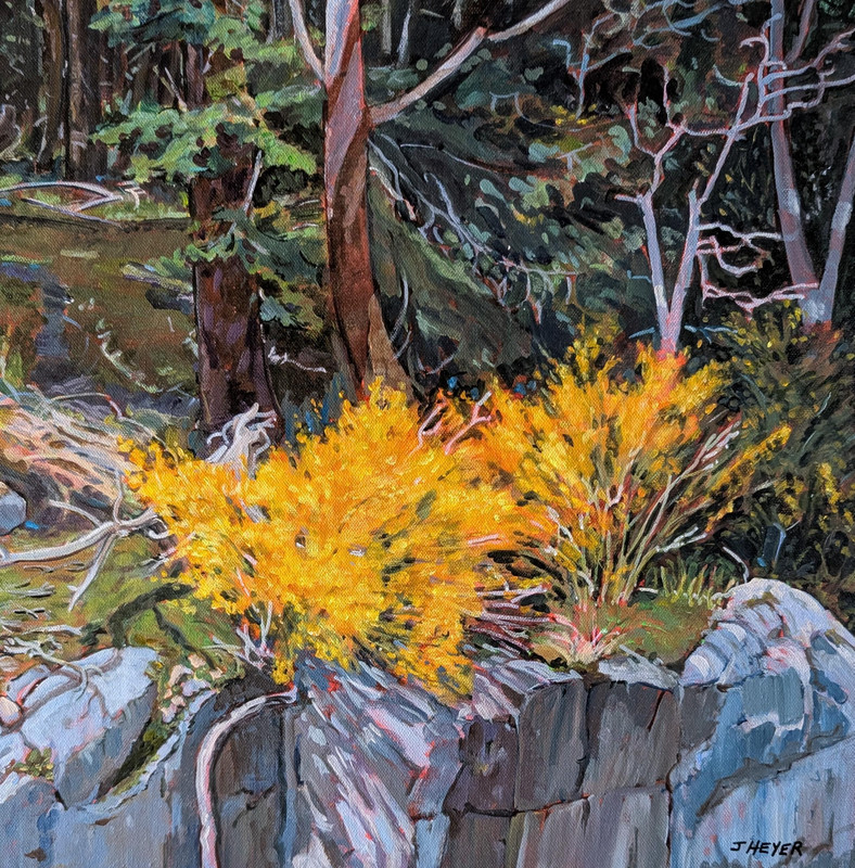 Burst of Spring