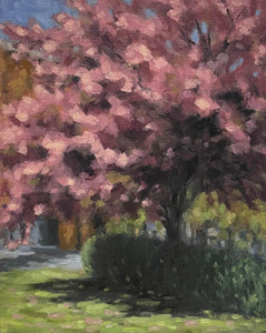Beneath the Blossoms