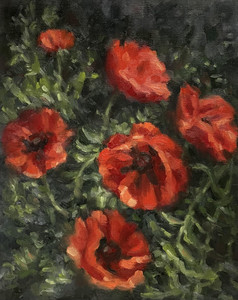 A Tangle of Poppies
