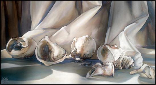 Still Life Shell Study