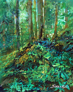Ancient Forest