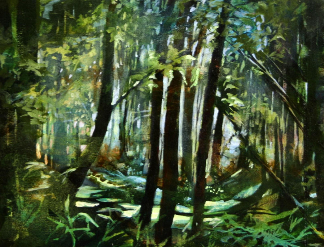 Forest Night