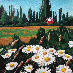 Red Barn and Daisies