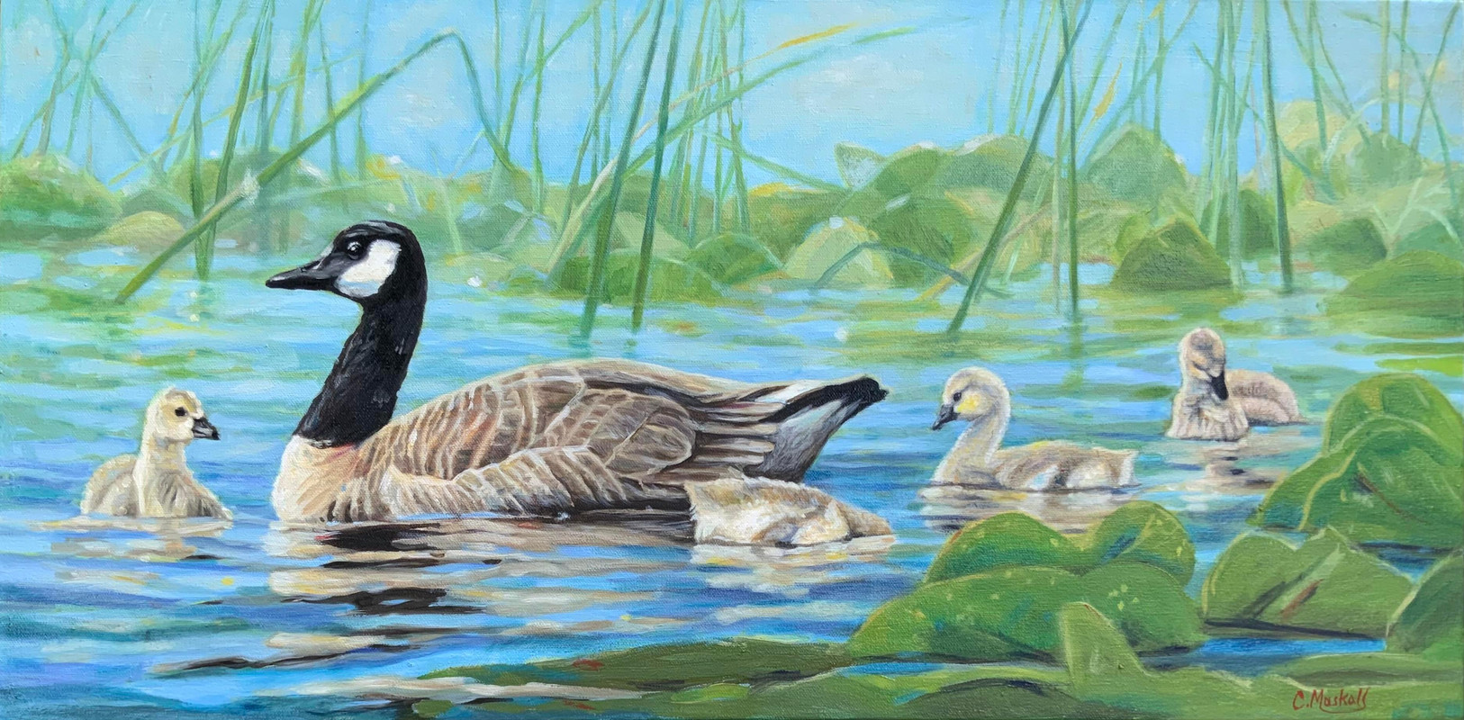 St. Mary&rsquo;s Lake Springtime Visitors