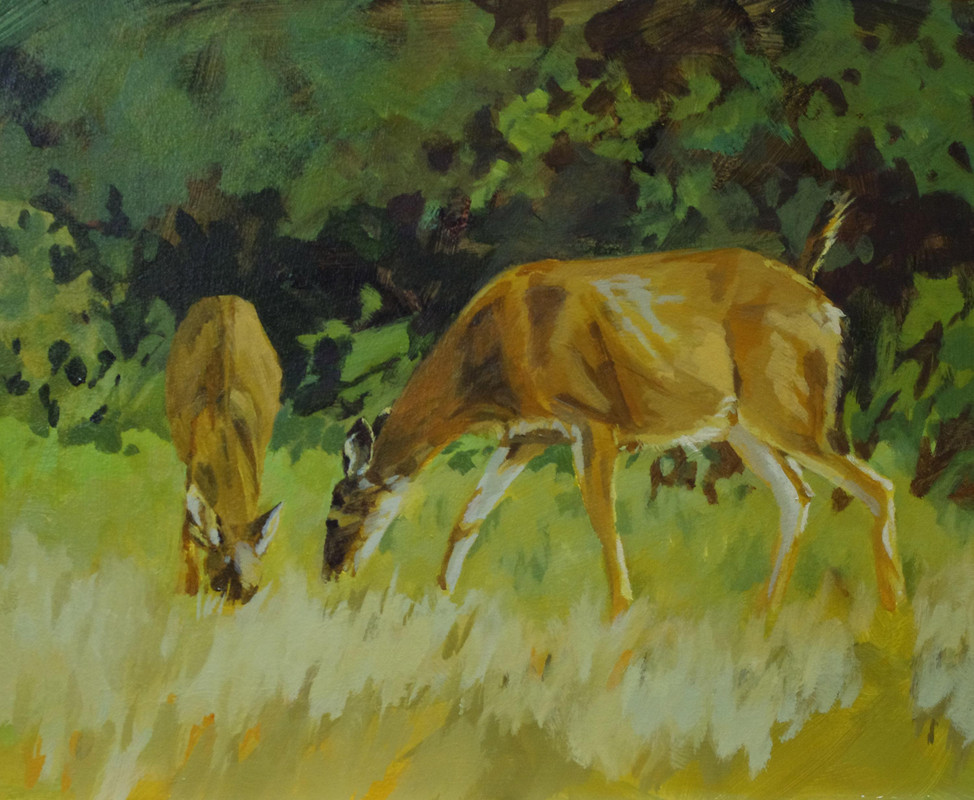 Afternoon Grazing