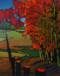 Autumn Colours