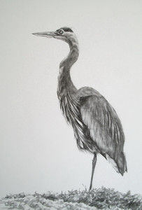 The Heron