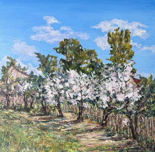 Orchard in Blossom