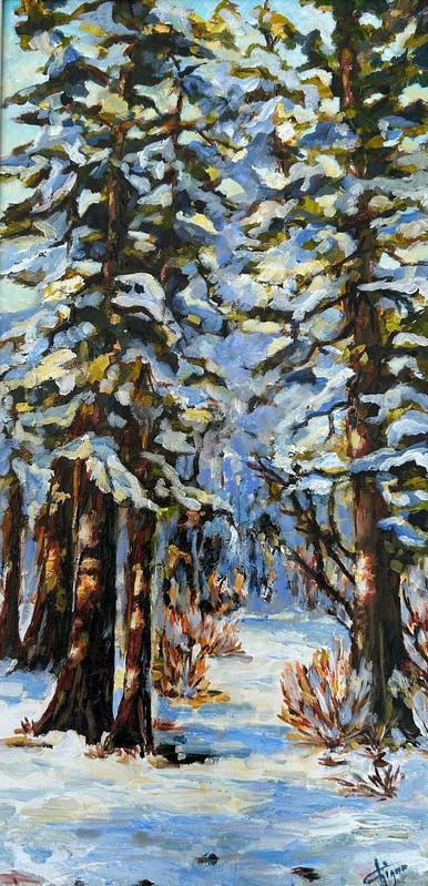 Fresh Snow on the Pathway