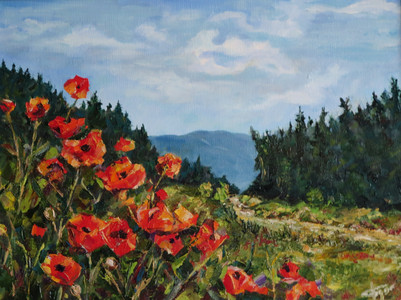 Poppies by the Road