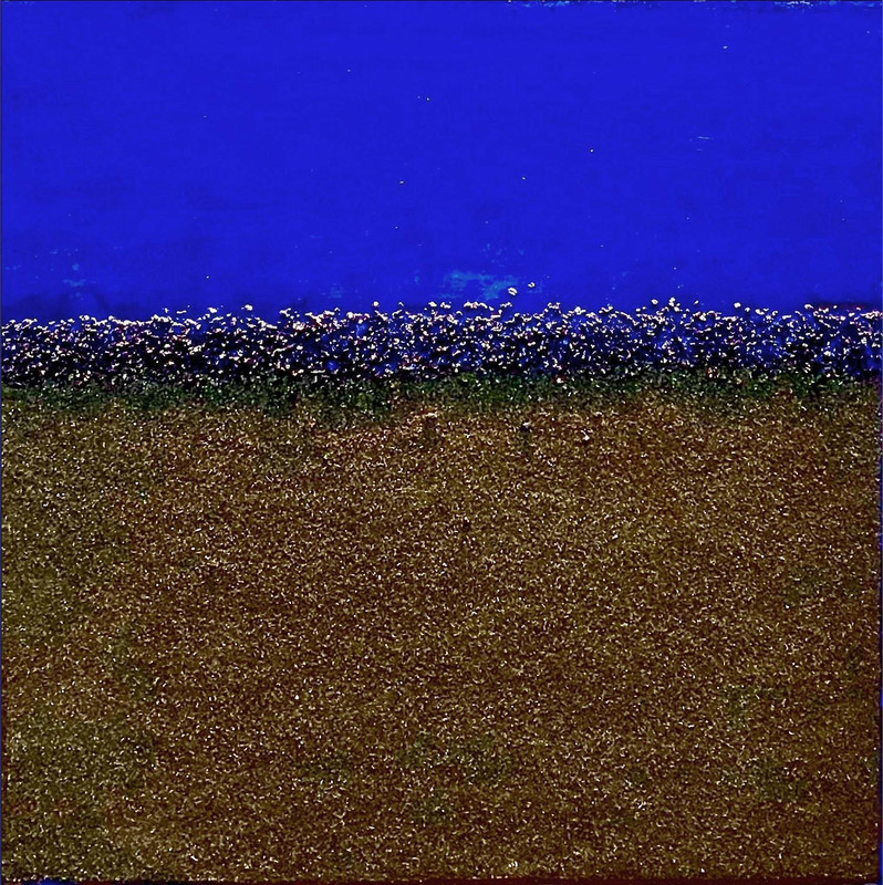 TRANQUIL BEAUTY