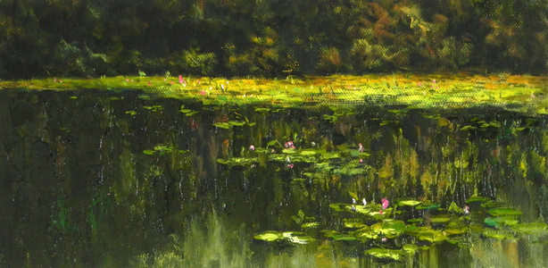 Waterlilies on Alouette River