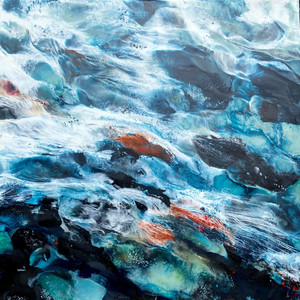 RUN SALMON RUN